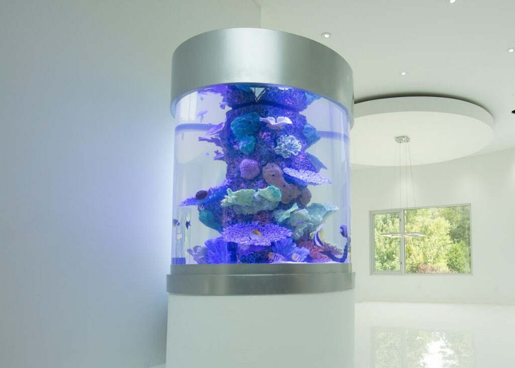 Custom Aquarium In The Home Of Rapper Akon
