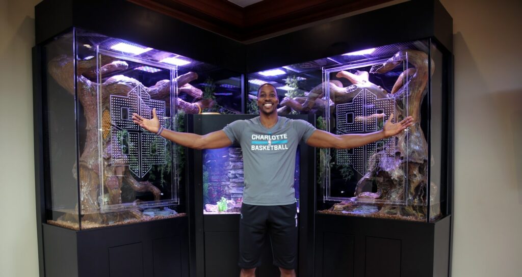 Custom Reptile Tanks In The Home Of Nba Star Dwight Howard