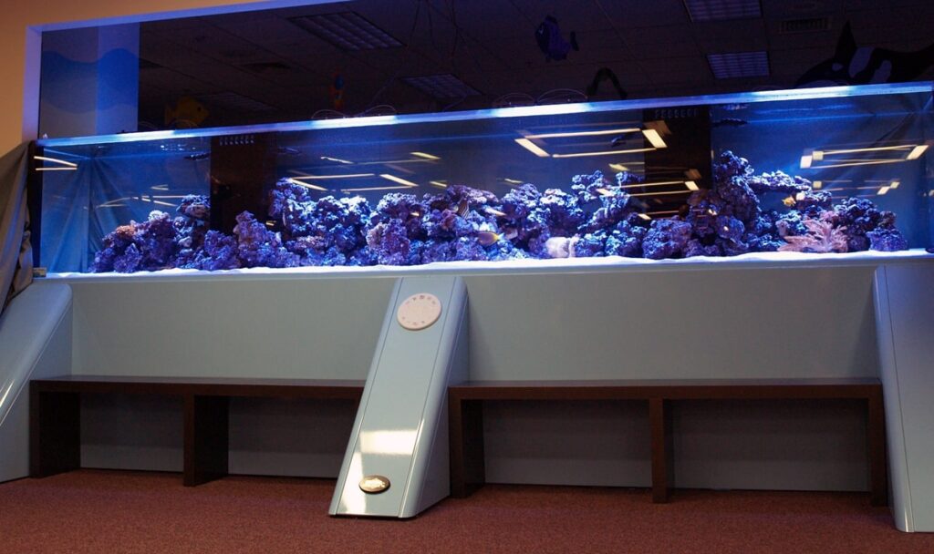 Futuristic Fish Tank