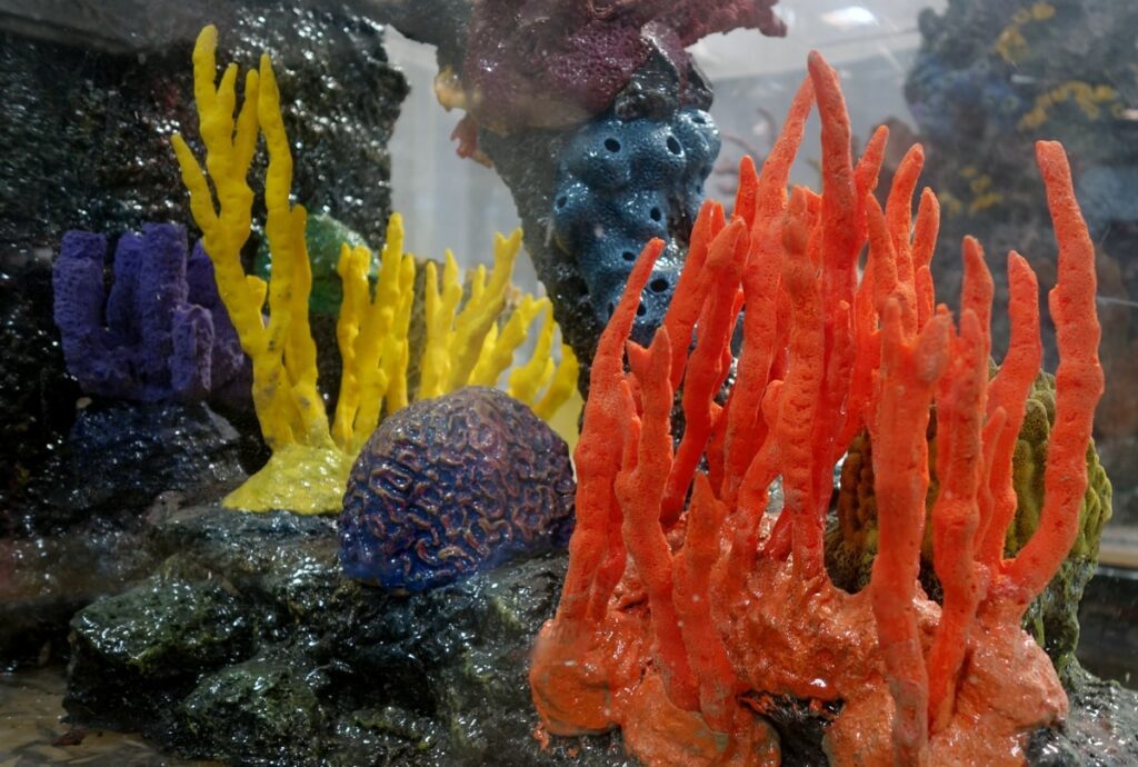 Handmade Brain Coral