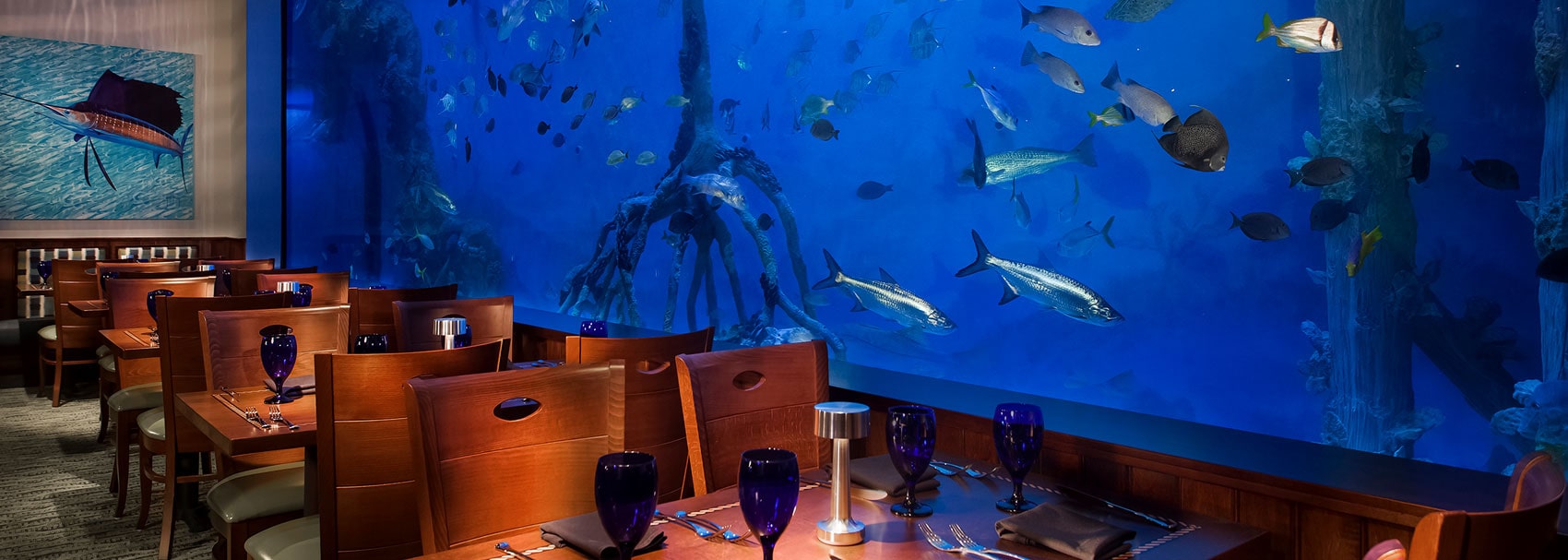custom acrylic fish tank in a restaurant