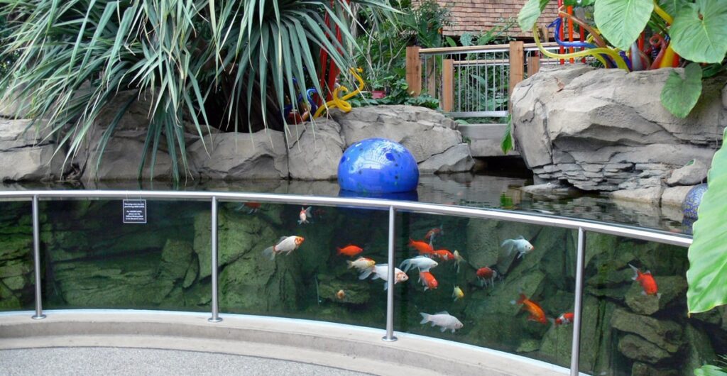 Horizontal Viewing Area On A Koi Pond
